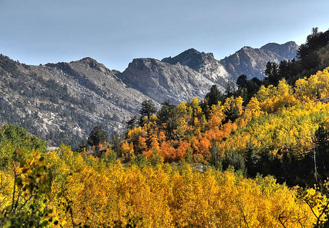 Ruby Mountains Scenic Area - Lamoille, Nevada