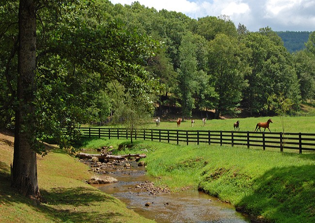 Aska Road Farm - Blue Ridge, Georgia