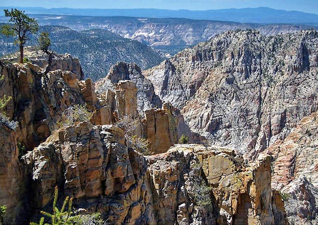 Death Hollow Canyon - Boulder, Utah
