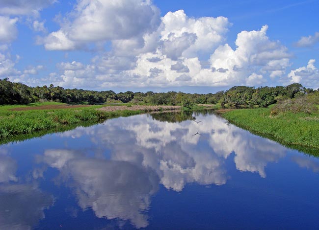 Myakka River - Myakka River State Park, Sarasota County, Florida