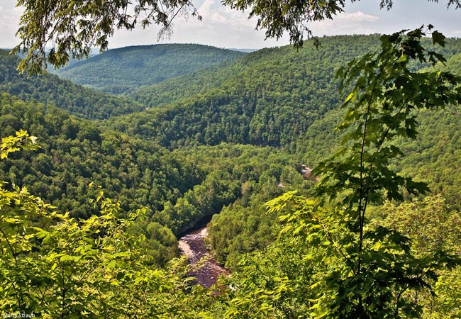 High Rock Vista - Worlds End State Park, Pennsylvania