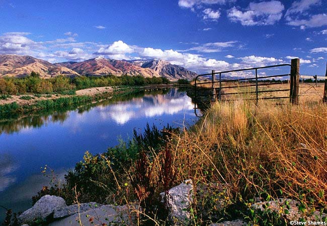Bear River Refuge - Brigham City, Utah