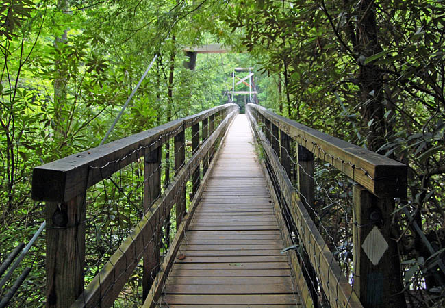 Toccoa  Swinging Bridge - Georgia