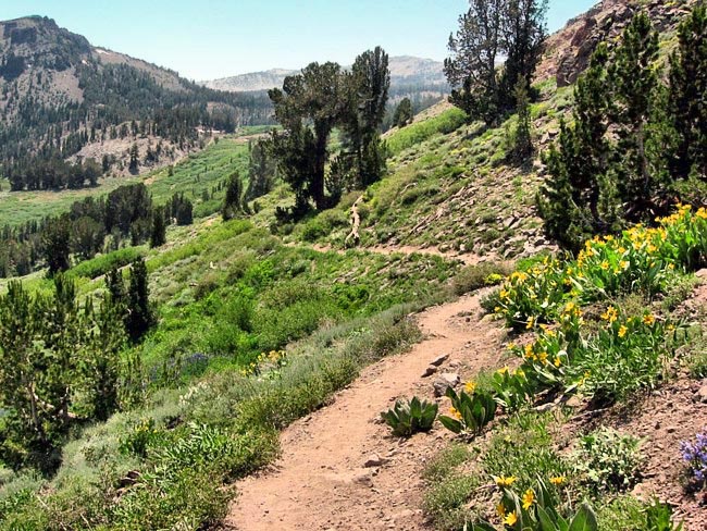 Mount Rose Wilderness - Washoe City, Nevada