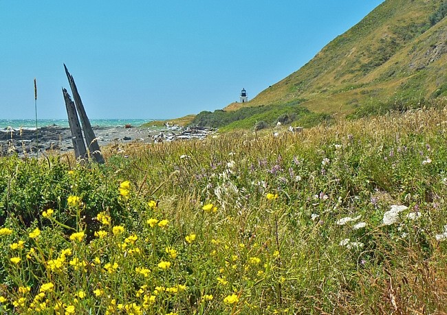 Lost Coast - King Range National Conservation Area, California