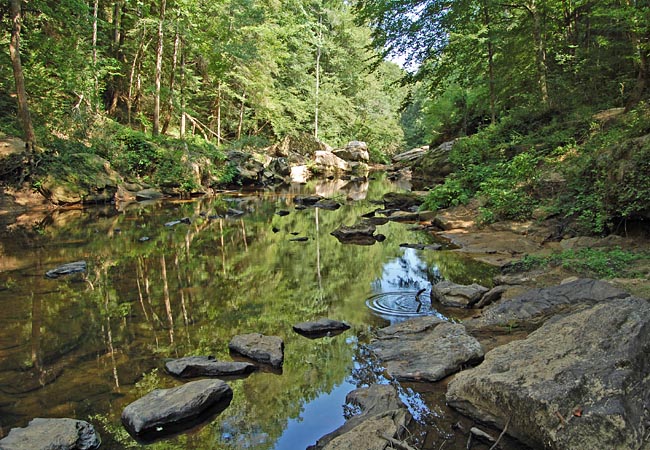 West Fork of the Sipsey River - Sipsey Wilderness, Alabama