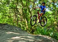 Mountain Biker - Alafia River State Park, Florida