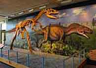 Allosaurus Exhibit - Dinosaur National Monument, Utah