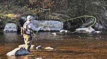 Ausable River Fly Fisherman
