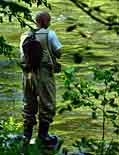 Tellico River Angler - Cherokee National Forest, Tennessee