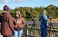 Cape May Birders viewing deck - Cape May Point State Park