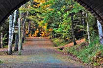 Carriage Road - Acadia National Park, Maine