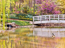 Garden Bridge - Carrier Arboretum, Harrisonburg, Virginia