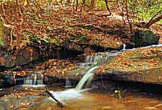 Little Gap Creek waterfall - Poinsett Bridge Heritage Preserve, Travelers Rest, SC