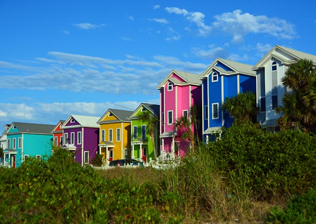 St. George Island Painted Ladies - East Point, Florida