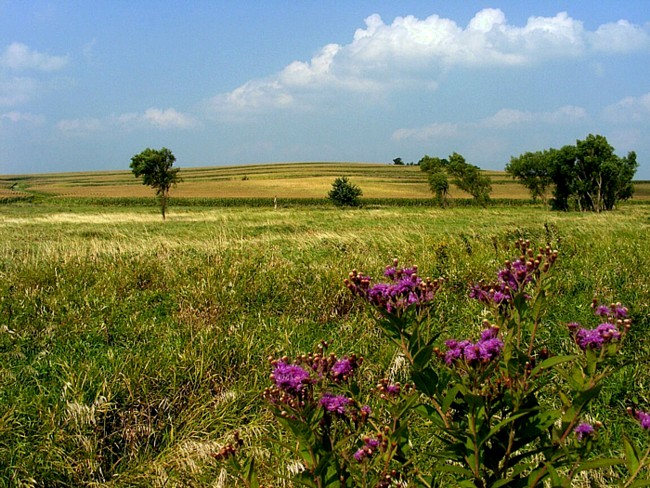 Prairie Rose State Park - Harlan, Iowa