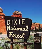 Dixie National Forest Sign - Utah