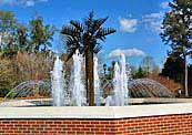 Centennial Park Fountain - Edisto Memorial Gardens