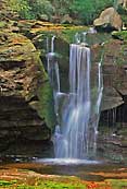 Elakala Falls - Davis, West Virginia