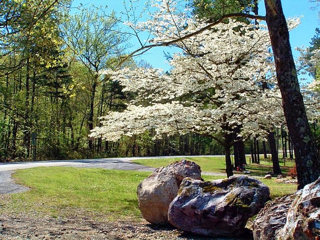 Springtime - Route 7 Scenic Byway, Arkansas