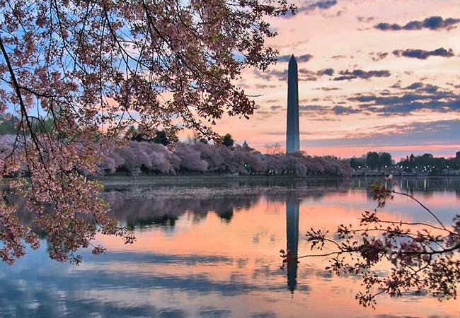 Washington National Monument - Washington, DC