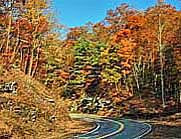 Fall color on the Wigington Highway