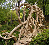 T.R. Pugh Memorial Park Faux Bois Sculptures