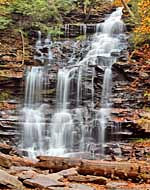 Ganoga Falls - highest falls in Ganoga Glen