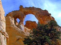 Grosvenor Arch - Cottonwood Canyon Road