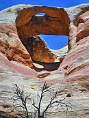 Hole in the Arch - Rattlesnake Canyon, Black Ridge Canyons Wilderness, Colorado
