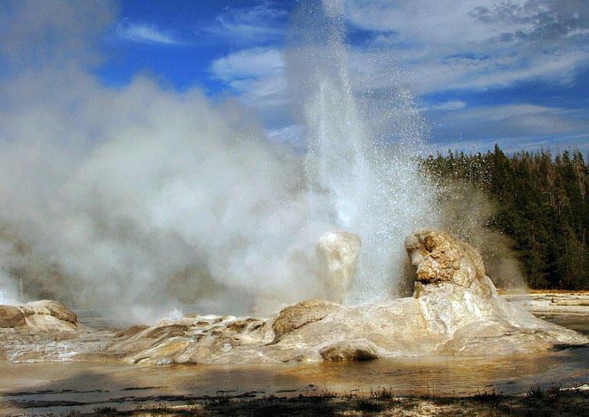 Grotto Geyser - Yellowstone National Park, Teton County, Wyoming