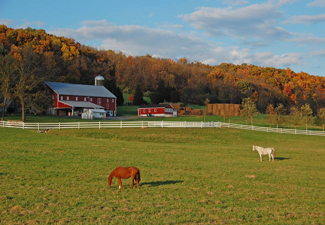 Snyder County Farms - Pennsylvania