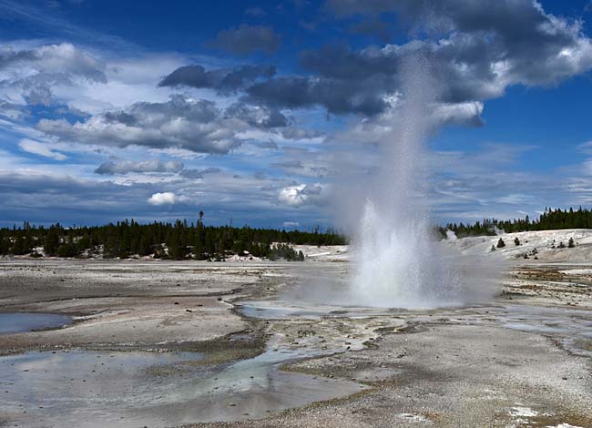 Constant Geyser - Porcelain Basin, Yellowstone National Park, Wyoming