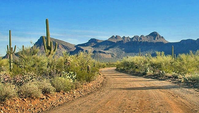 Golden Gate Road - Saguaro National Park, Tucson, Arizona