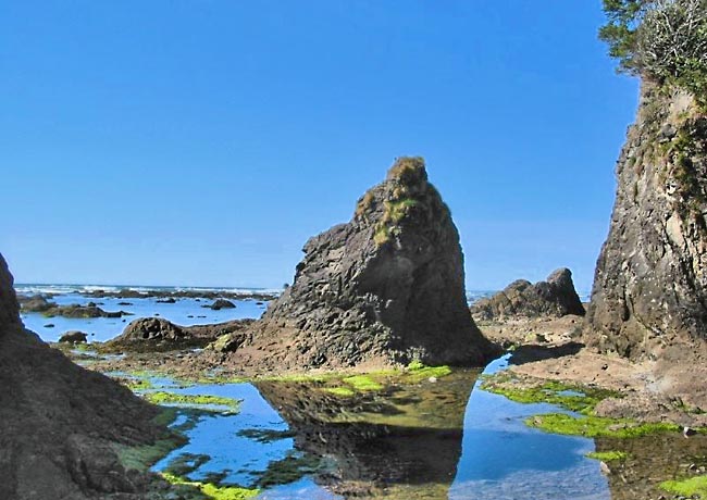 Cape Alava (Sandy Point) - Ozette, Washington