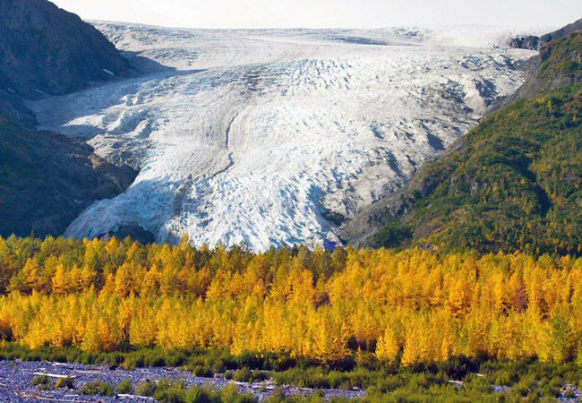 Exit Glacier - Kenai Fjords National Park, Alaska