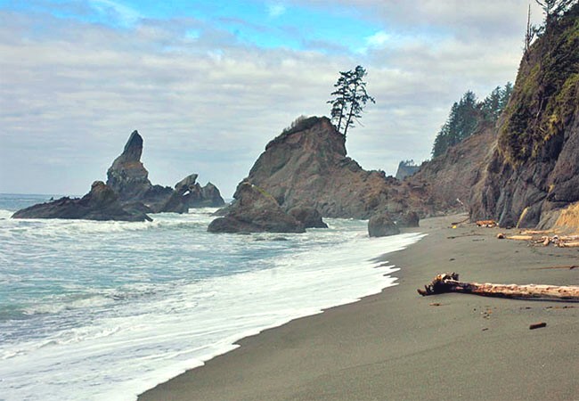 Shi Shi Beach -  Ozette, Washington