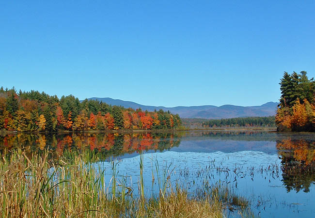 Berry Pond - Moultonborough, New Hampshire