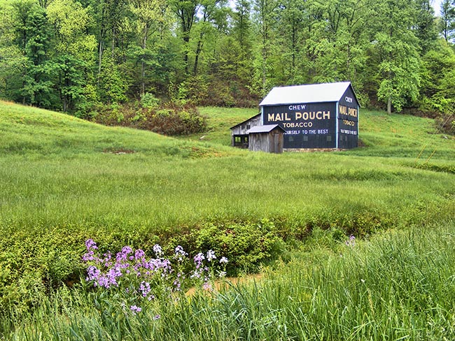 Mail Pouch Barn MPB 35-84-07 - Moss Run, Ohio