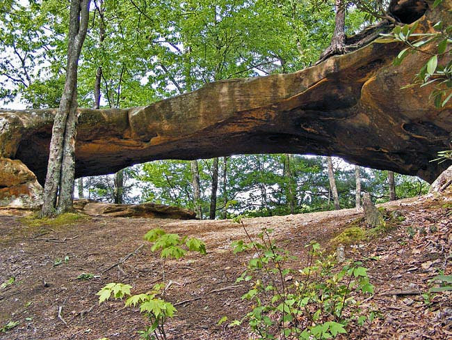 Princess Arch - Red River Gorge National Geological Area, Kentucky