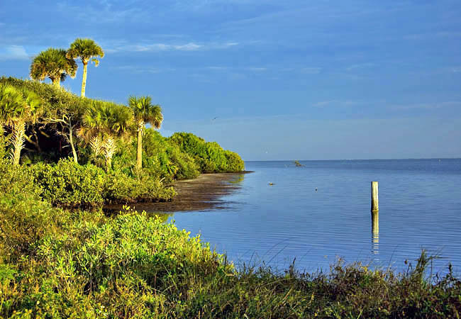 Mosquito Lagoon - Orange Island, Brevard County, Florida