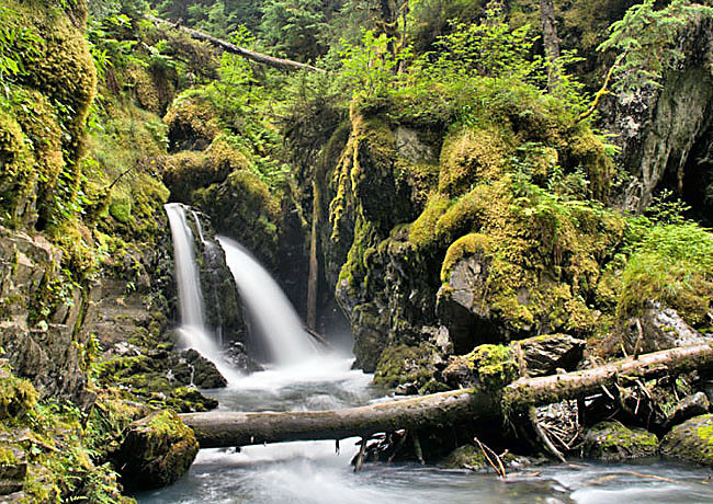 Virgin Creek Falls - Girdwood, Alaska