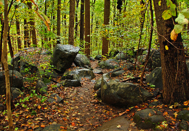 Ringing Rocks Park - Upper Black Eddy, Pennsylvania