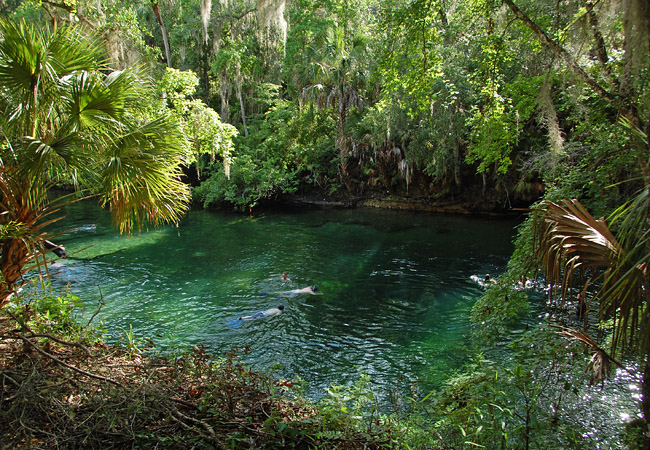 Blue Spring - Orange City, Florida