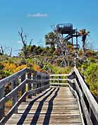 Hobe Mountain Observation Tower - Jonathan Dickinson State Park, Stuart Florida