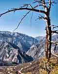 Mountain Overlook - Kings Canyon National Park, California
