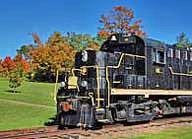 Lake Champlain and Moriah RR Number 20 Locomotive