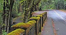 Moss covered Latourell Creek Bridge - Columbia River Gorge, Oregon