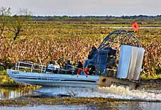 Airboat on the St Johns River - Brevard County, Florida