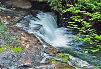 Little Duck River Step Falls